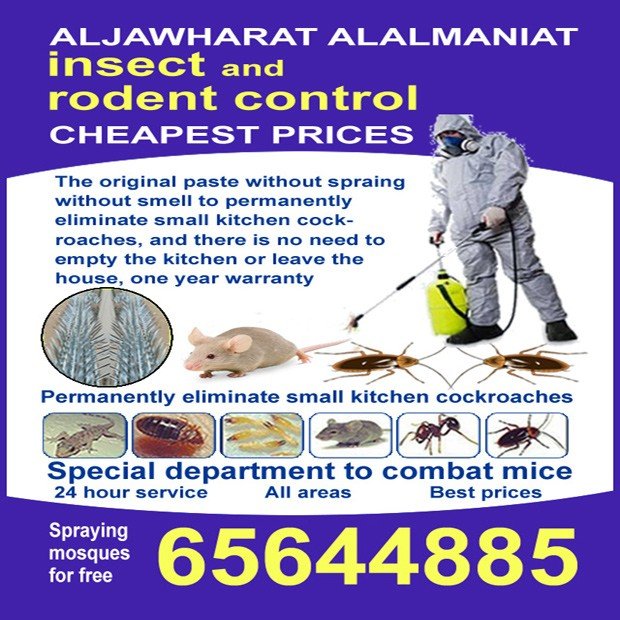 صادق / مشترك بحث0