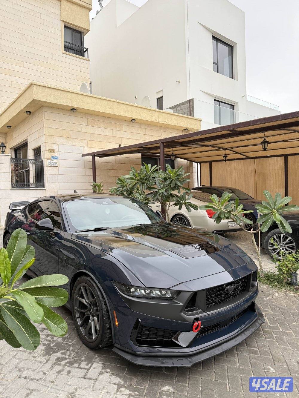 للبيع دارك هورس "قير عادي"0