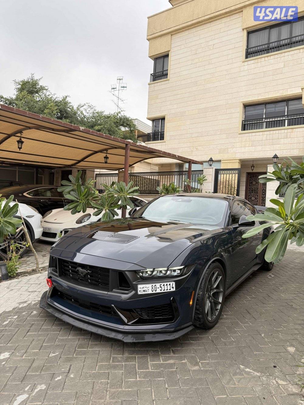 للبيع دارك هورس "قير عادي"1