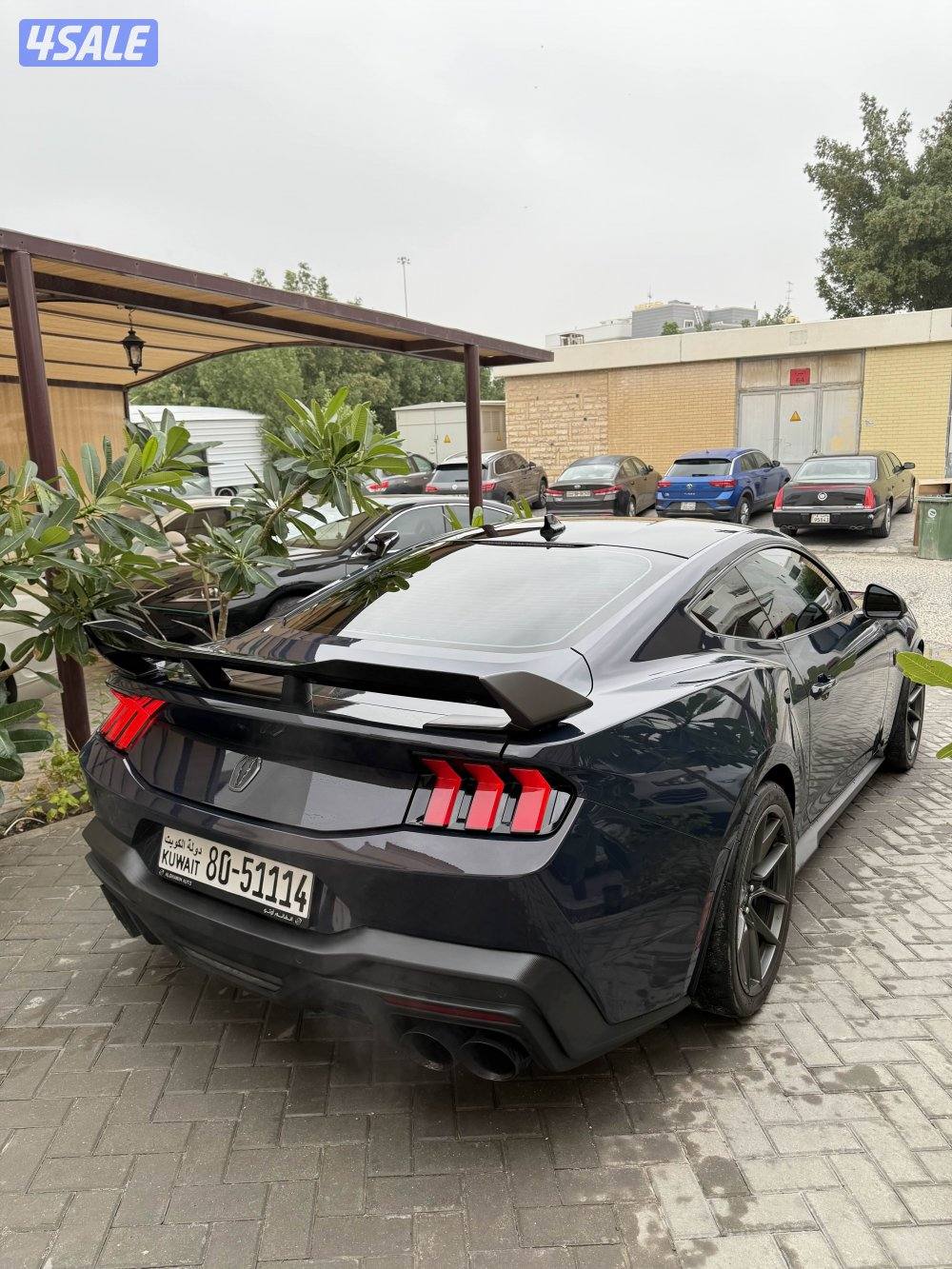 للبيع دارك هورس "قير عادي"3