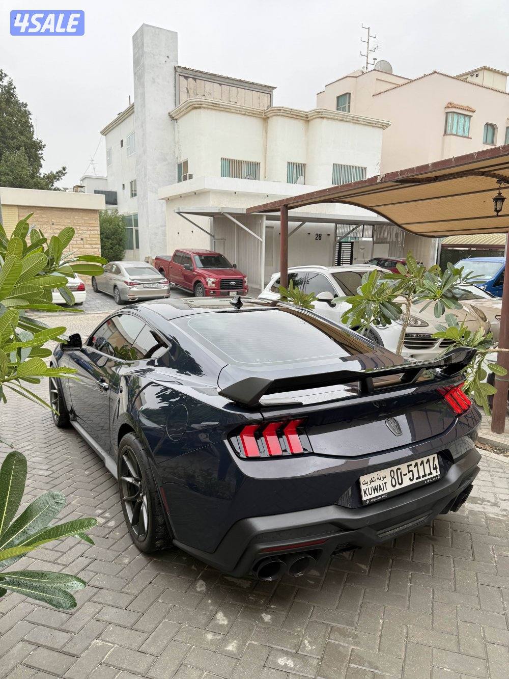 للبيع دارك هورس "قير عادي"4