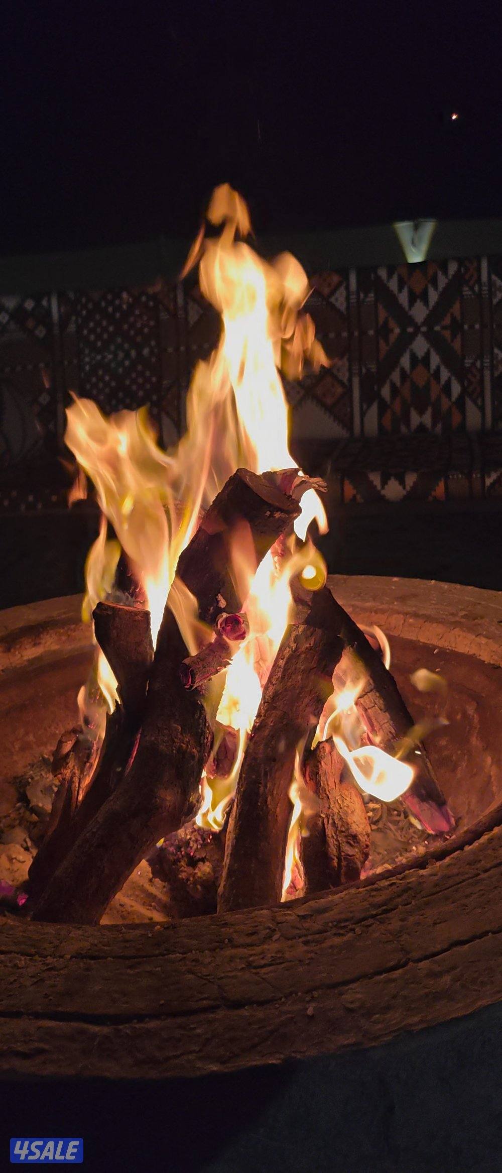 حطب البلوط الفاخر  ناشف 100٪1