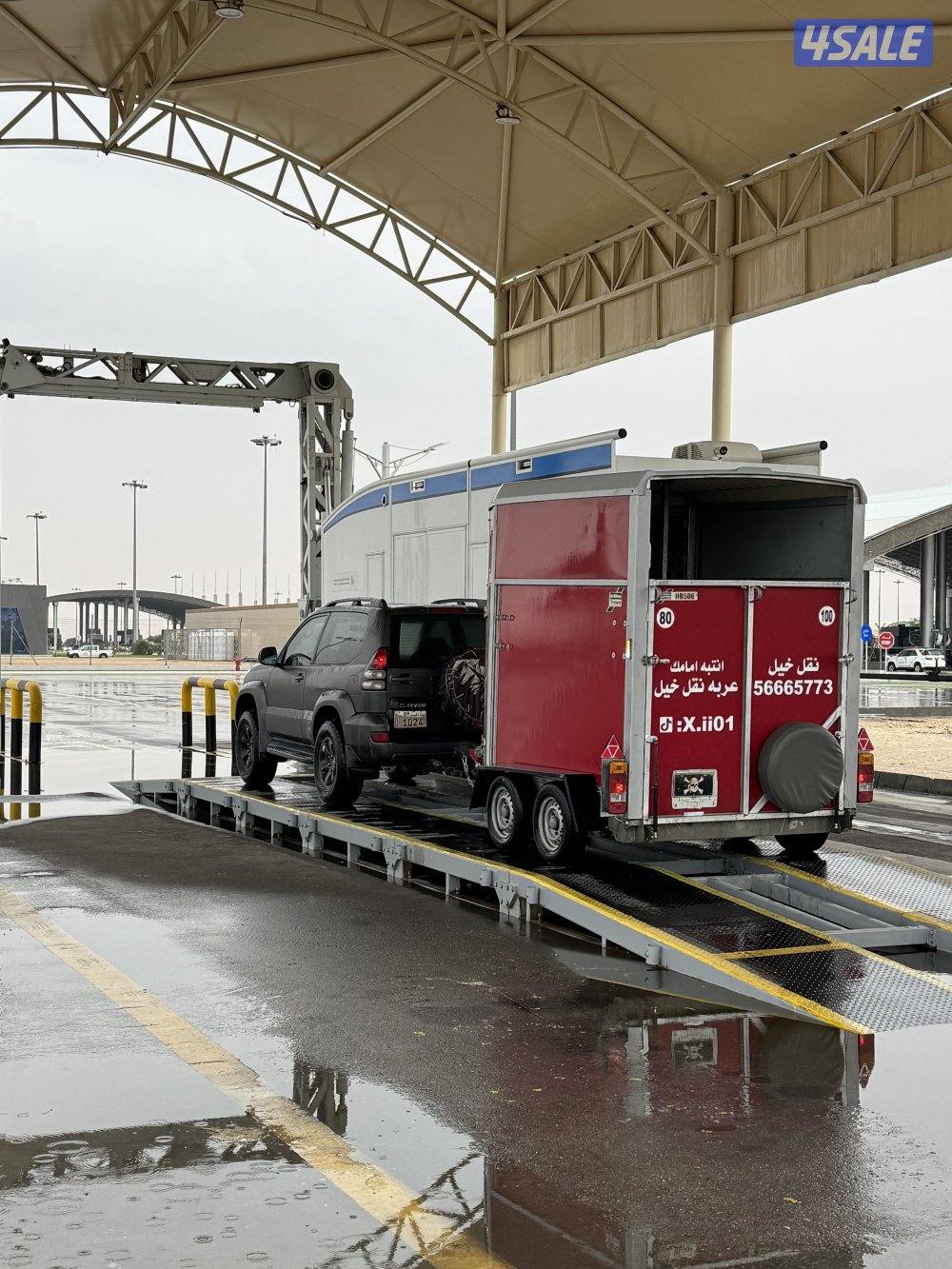 نقل خيل داخلي وخارجي 🔥🔥 .0