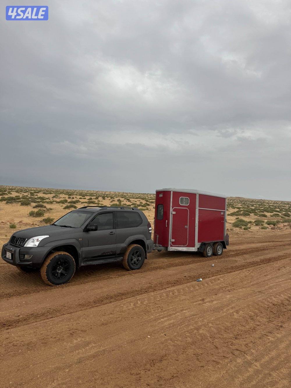 نقل خيل داخلي وخارجي 🔥🔥 .1