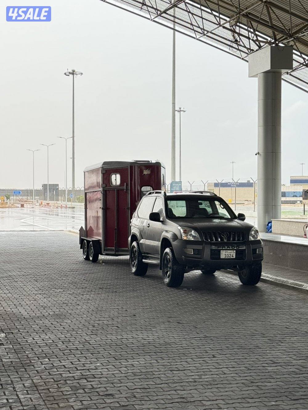 نقل خيل داخلي وخارجي 🔥🔥 .2