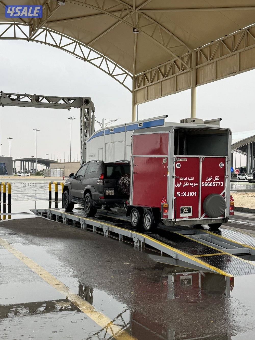 نقل خيل داخلي وخارجي 🔥🔥1