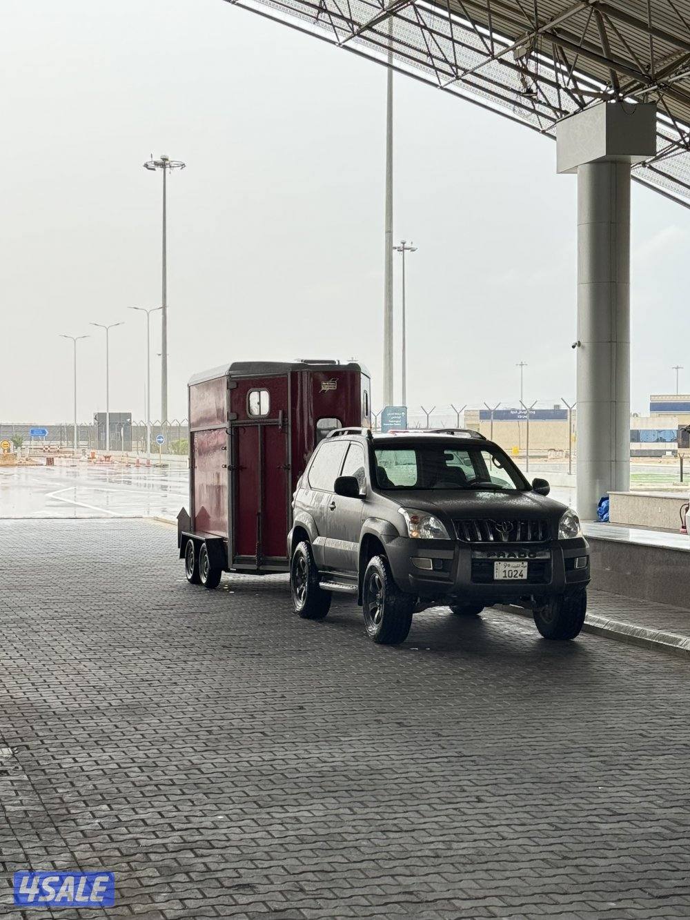 نقل خيل داخلي وخارجي 🔥🔥2