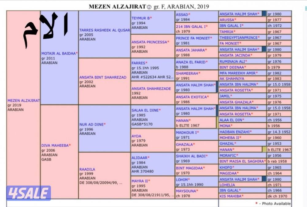 مهـر فاخـر💫1
