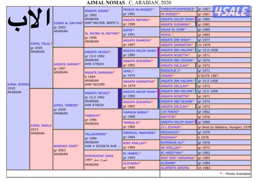 مهـر فاخـر💫2