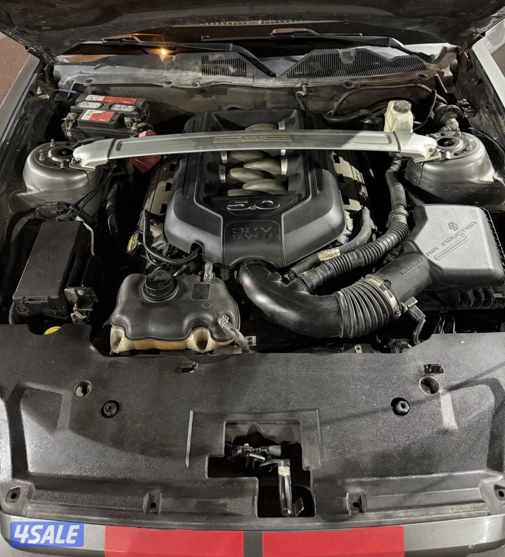 موستنق قير عادي6