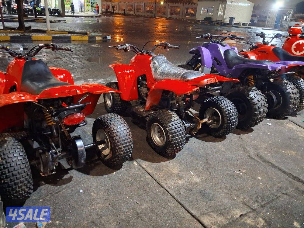 بقيات أصلية عميري اسعار1