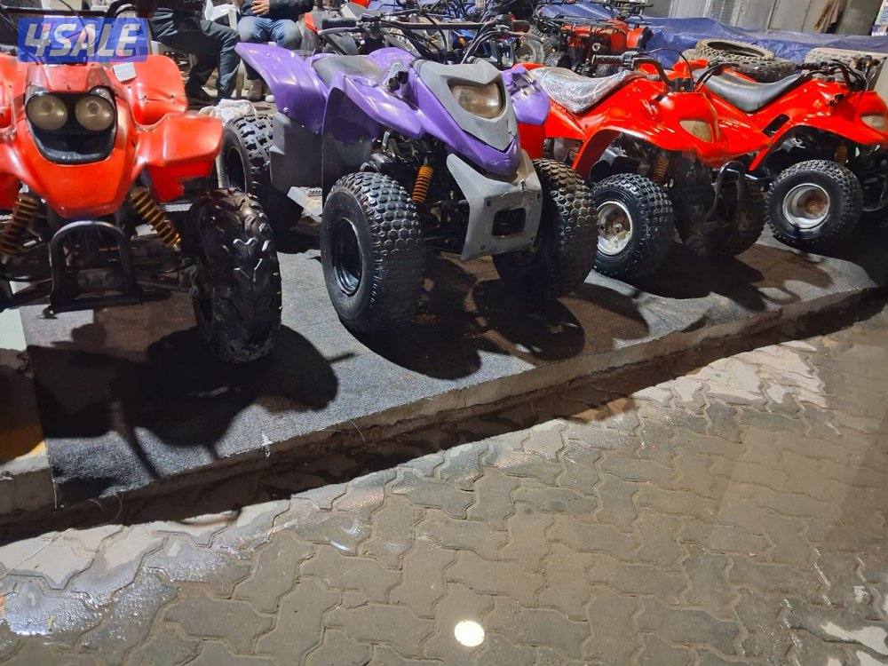 بقيات أصلية عميري اسعار0