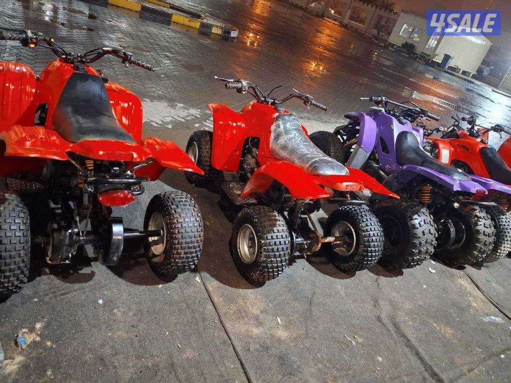 بقيات أصلية عميري اسعار2