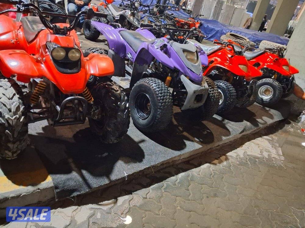 بقيات أصلية عميري اسعار5