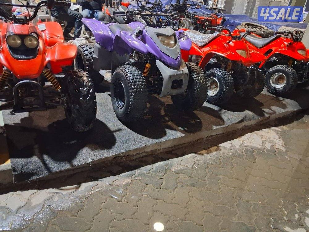 بقيات أصلية عميري اسعار7