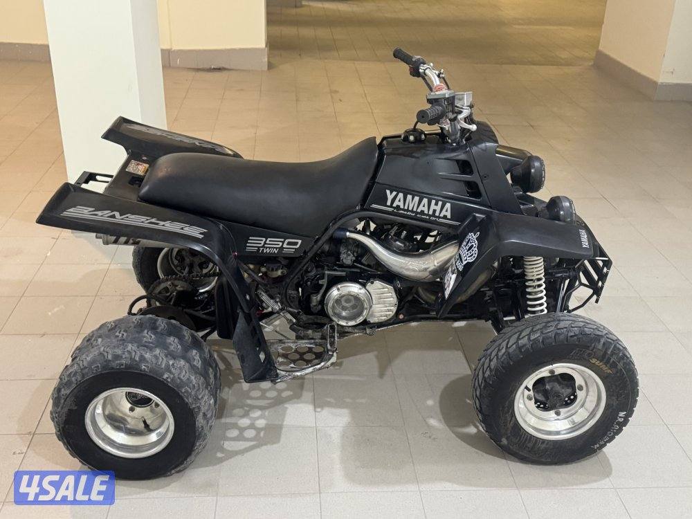 للبيع بانشي 2004 special edition2