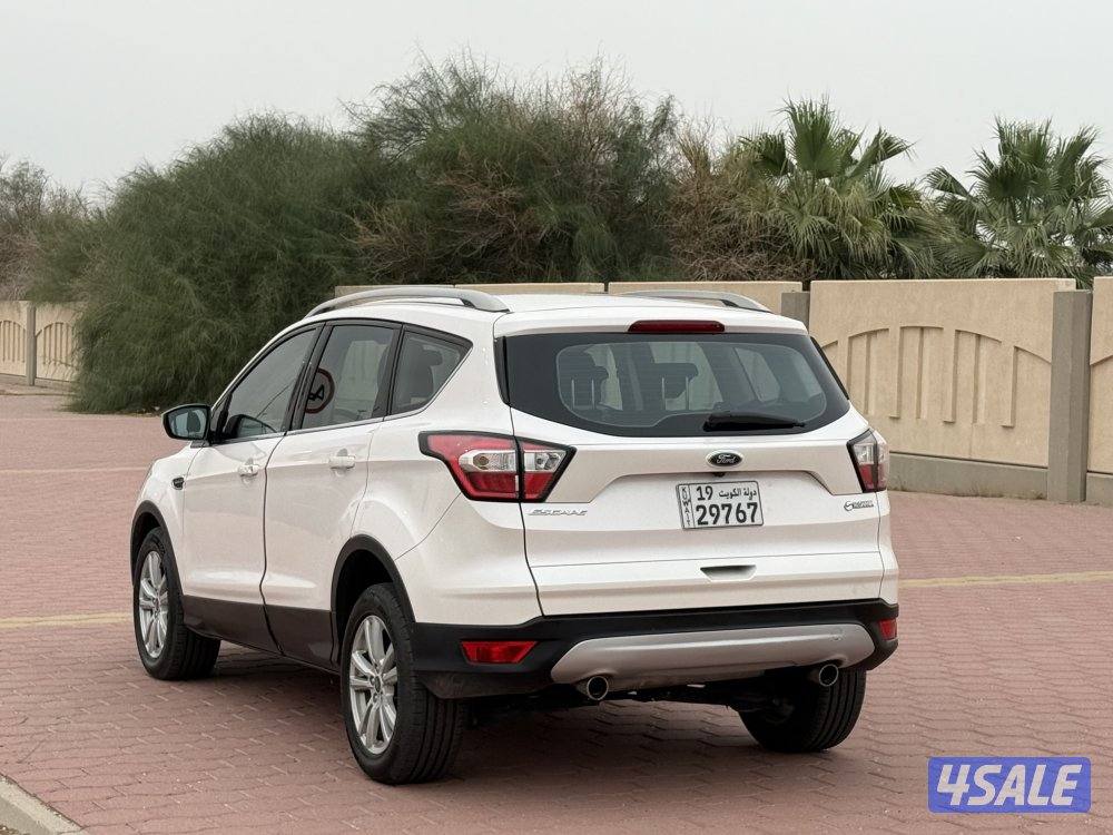 🔥الدرجة الأولى صبغ الوكاله 🔥3