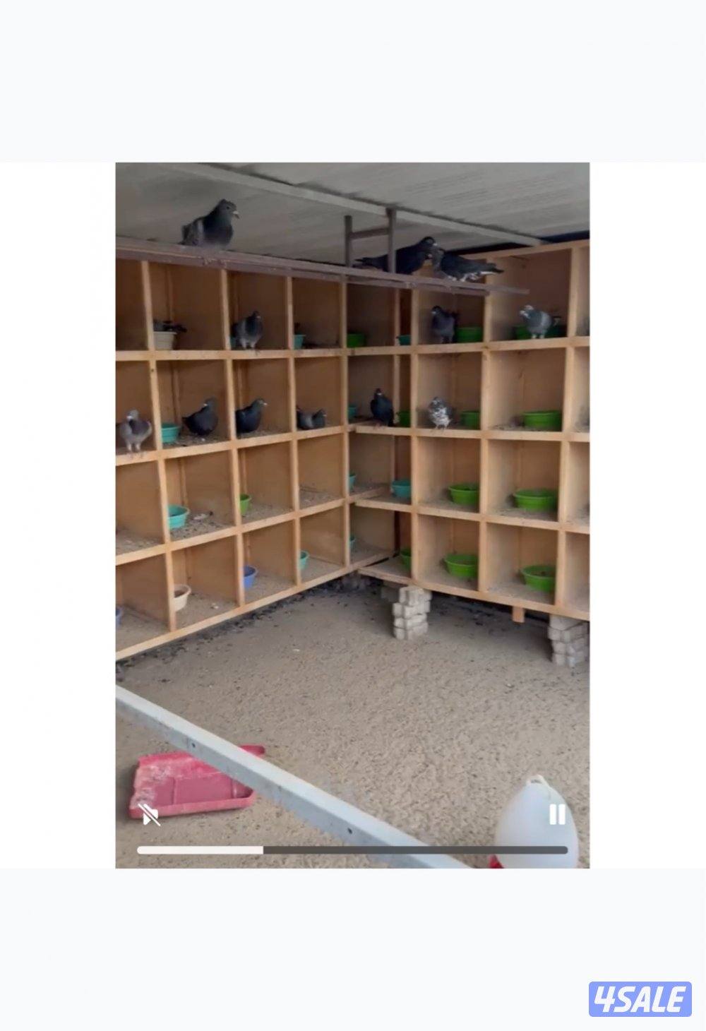 للبيع مشروع حمام كامل أكثر من 270 زوج1