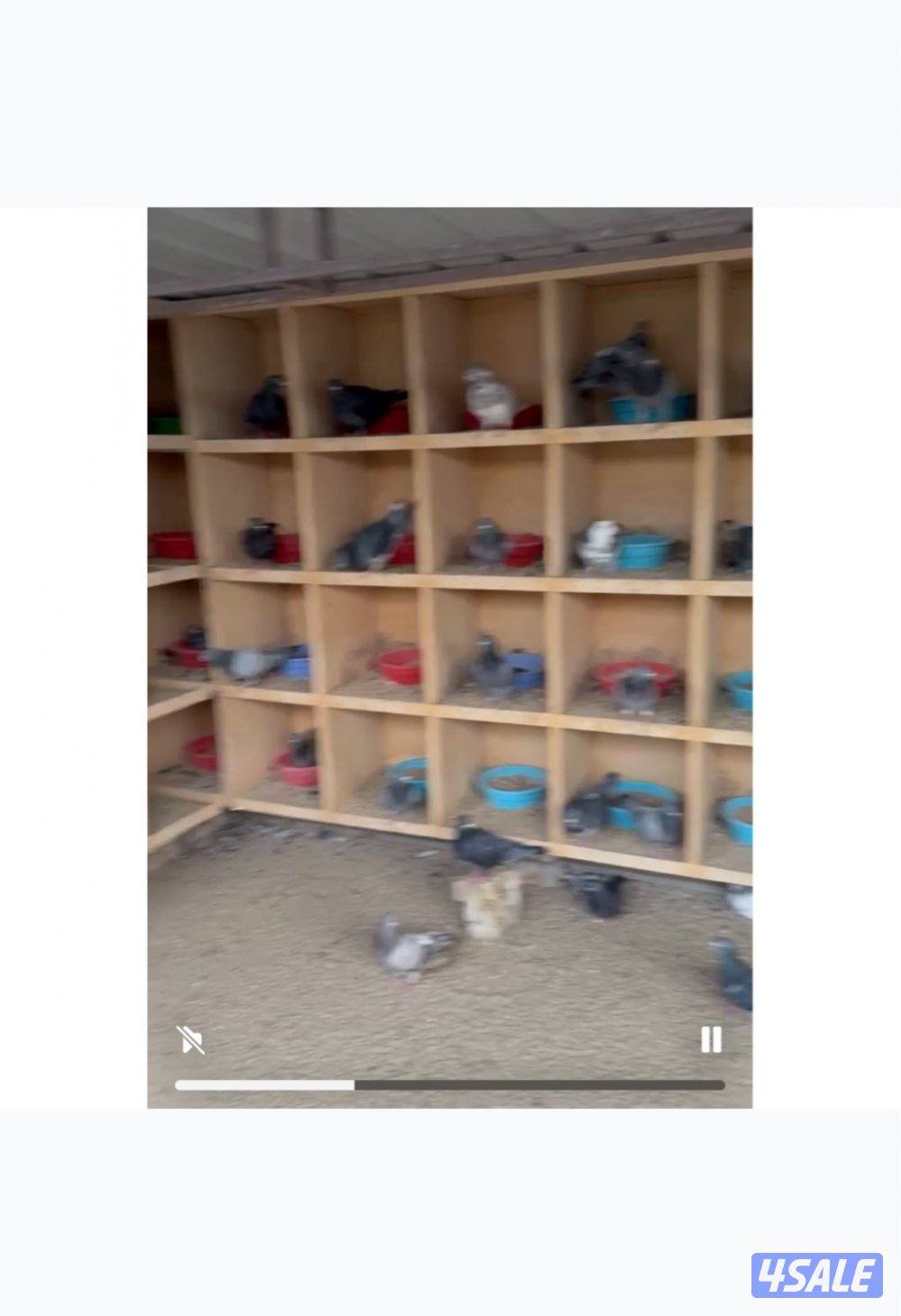 للبيع مشروع حمام كامل أكثر من 270 زوج2