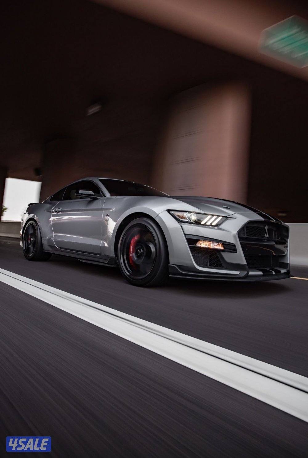 موستنق شيلبي GT500 🐍10