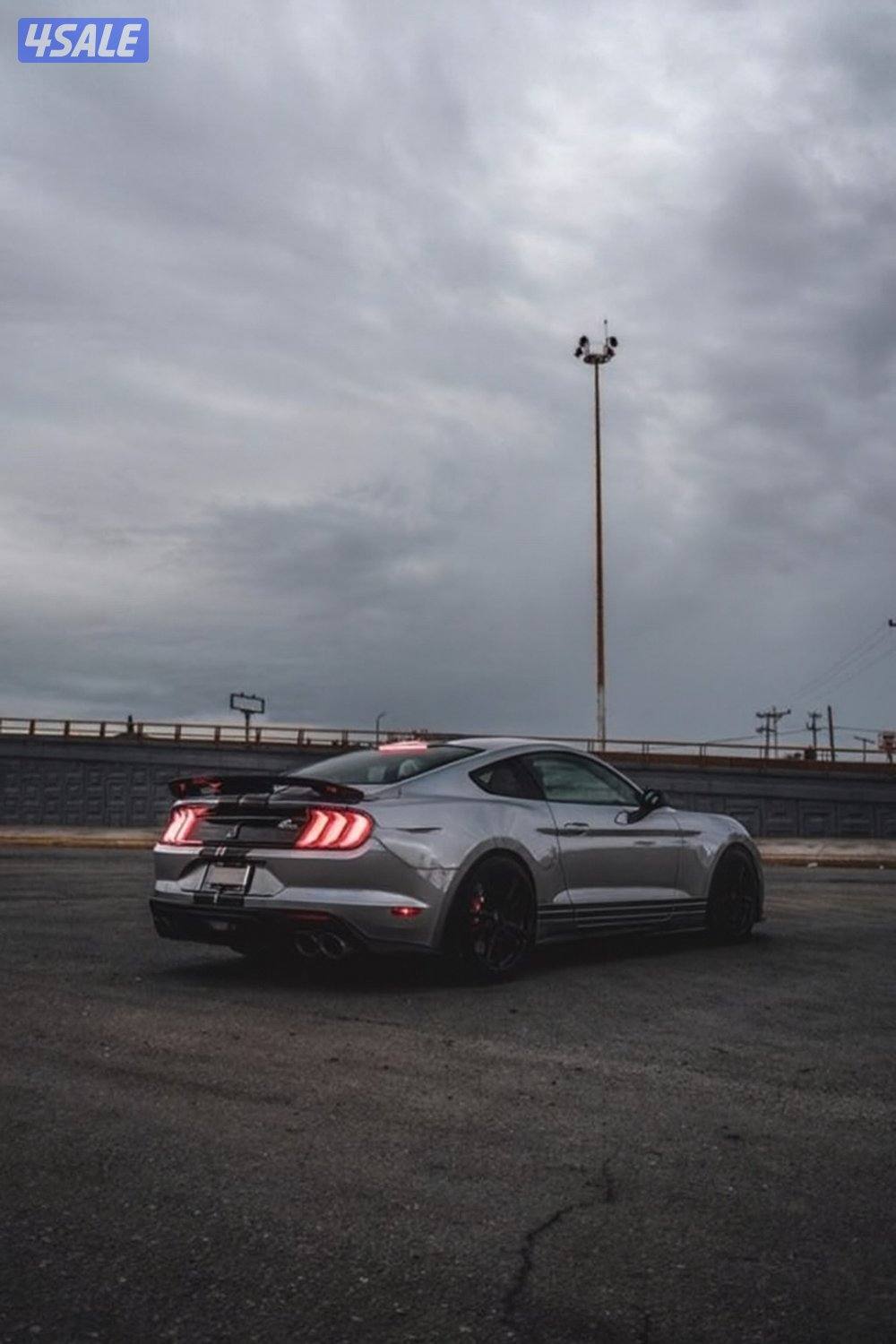 موستنق شيلبي GT500 🐍11