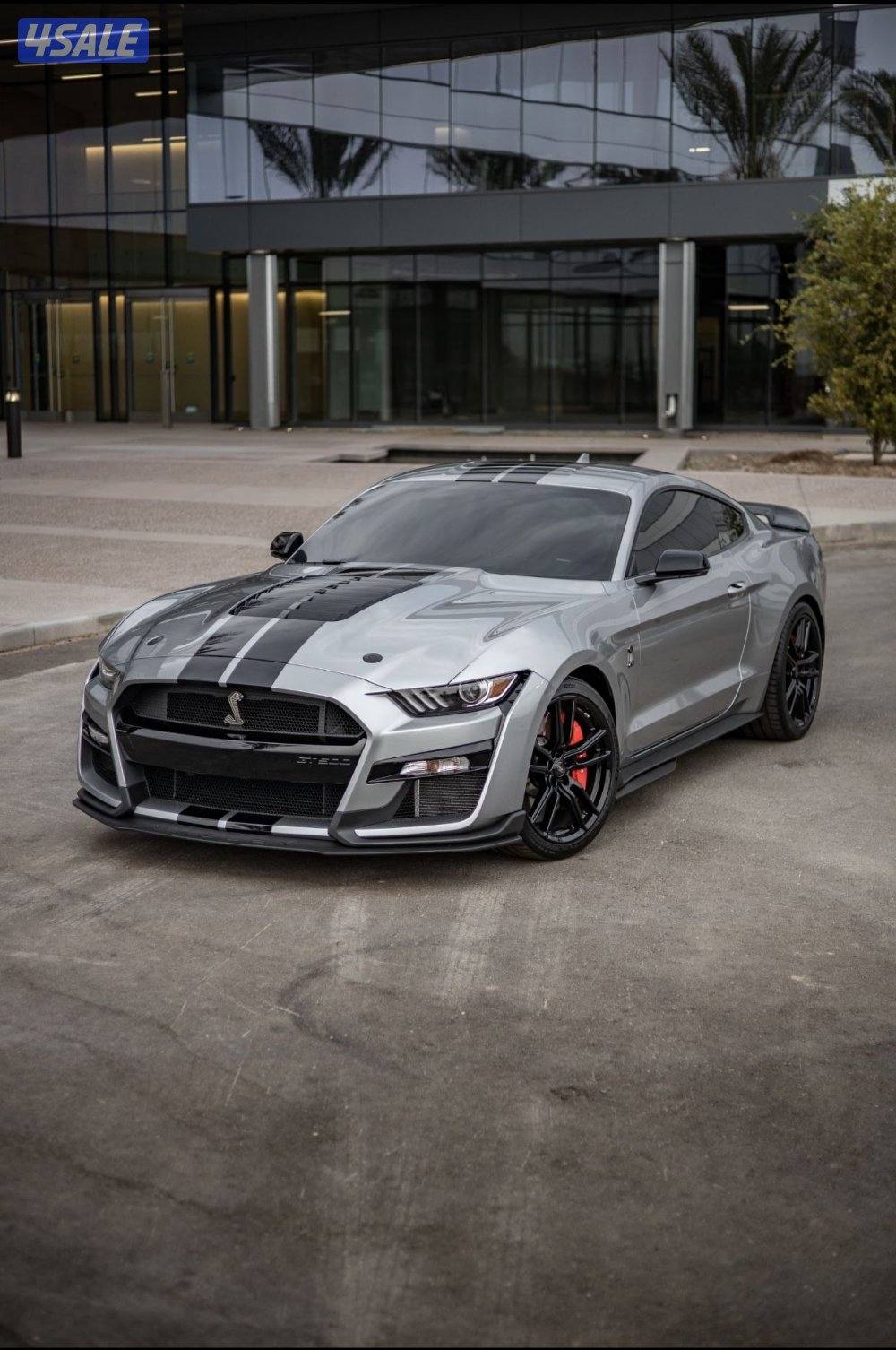 موستنق شيلبي GT500 🐍12