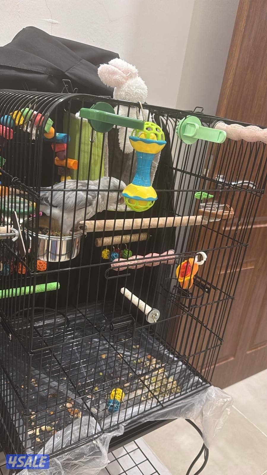 للبيع كويكر1