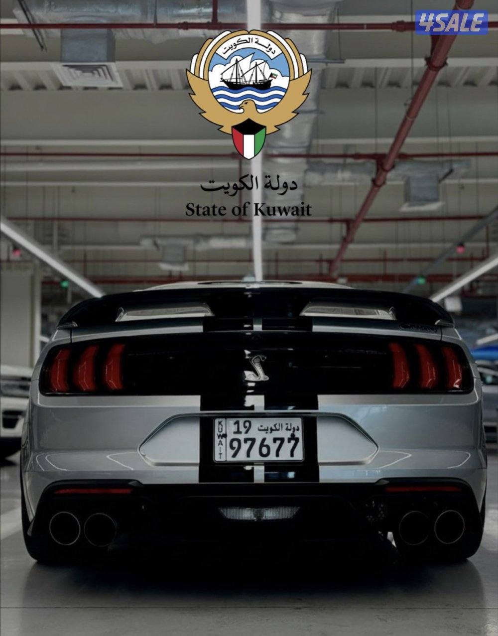 موستنق شيلبي GT500 🐍0