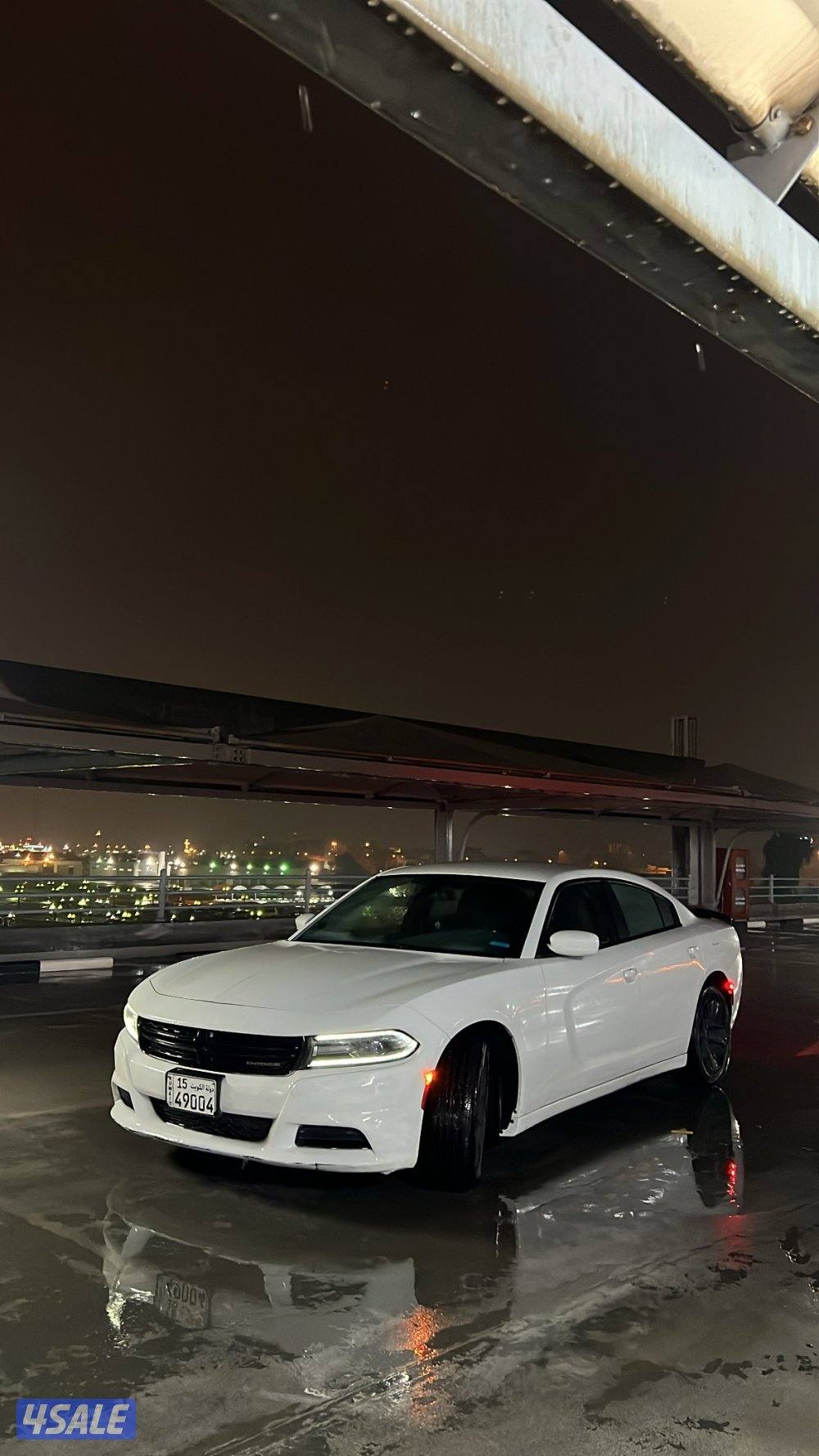 شرط الفحص بالكامل صبغ وكالة1