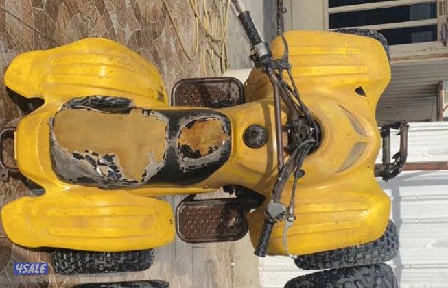 بقي صيني و بقي عميري2