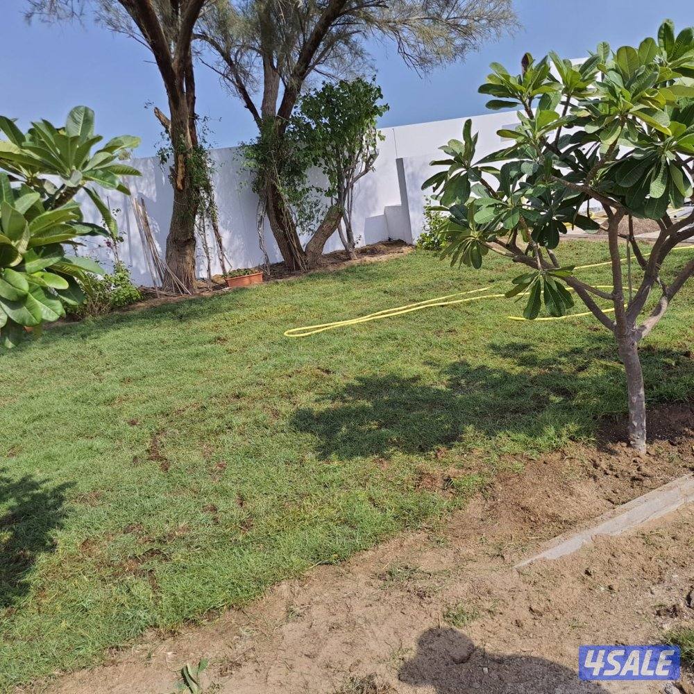 تنسيق حدائق تركيب تيل صناعي وطبيعي سور تركي7