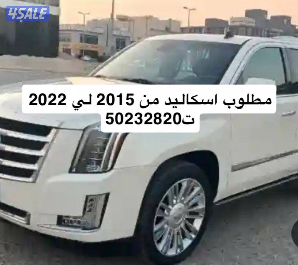 بقيت  اسكاليد0