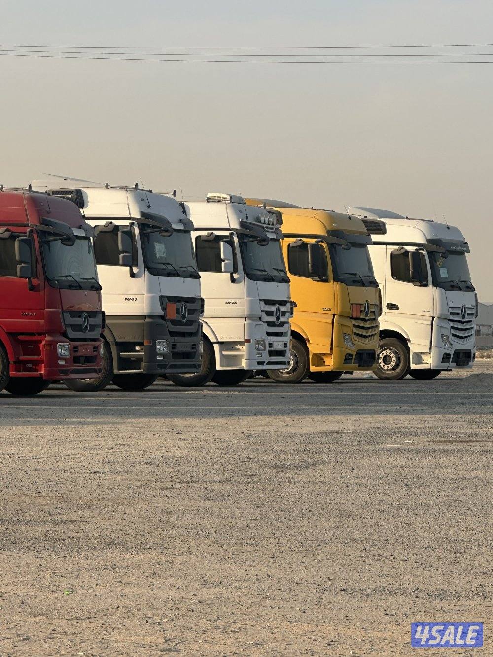 للبيع روس المانيه شرط الفحص4