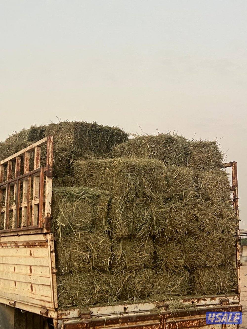 العبدلي للبيع ربطات بلوبنك  عدد ١١٠0