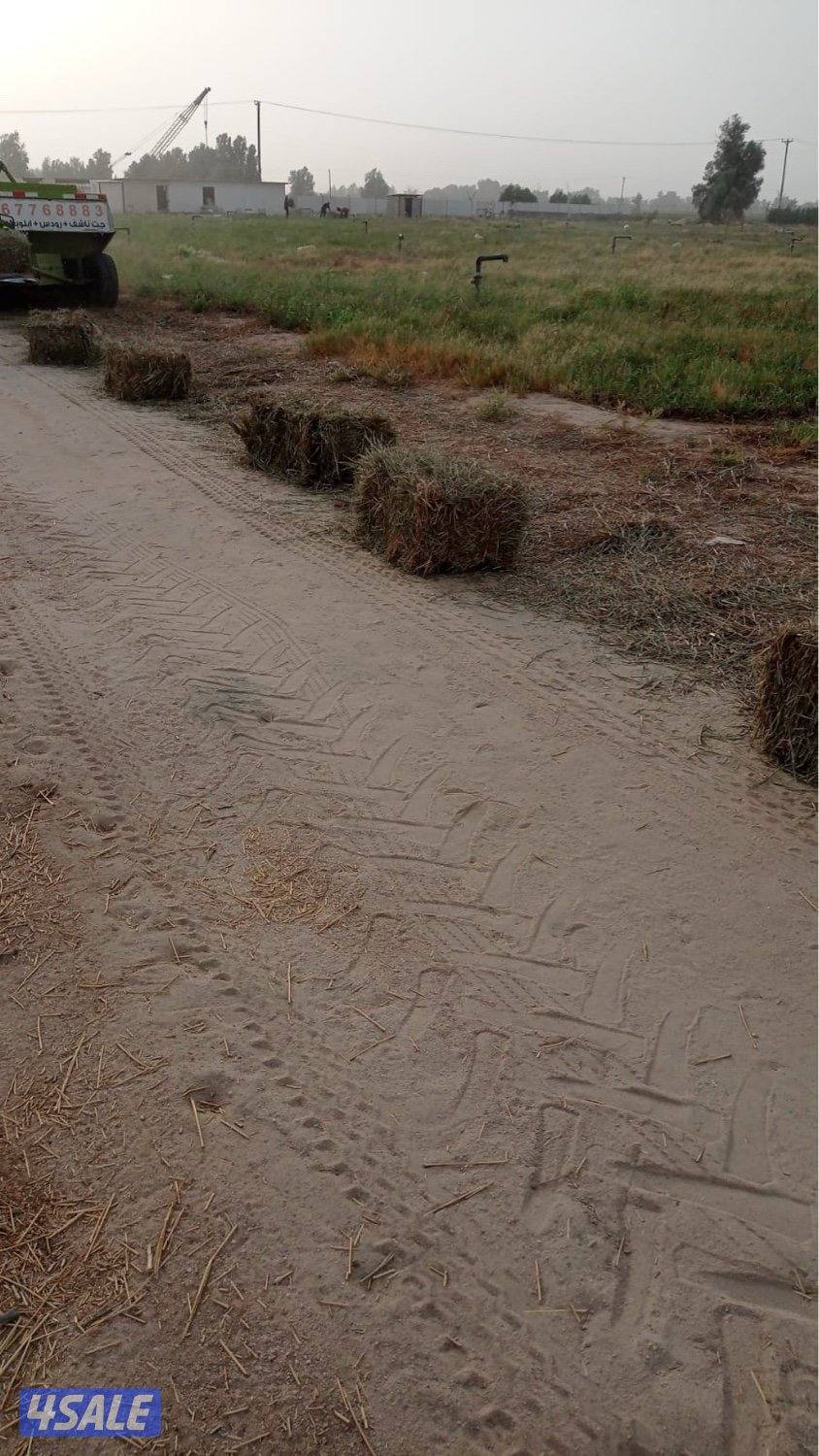 للبيع بلوبنك بالعبدلي1