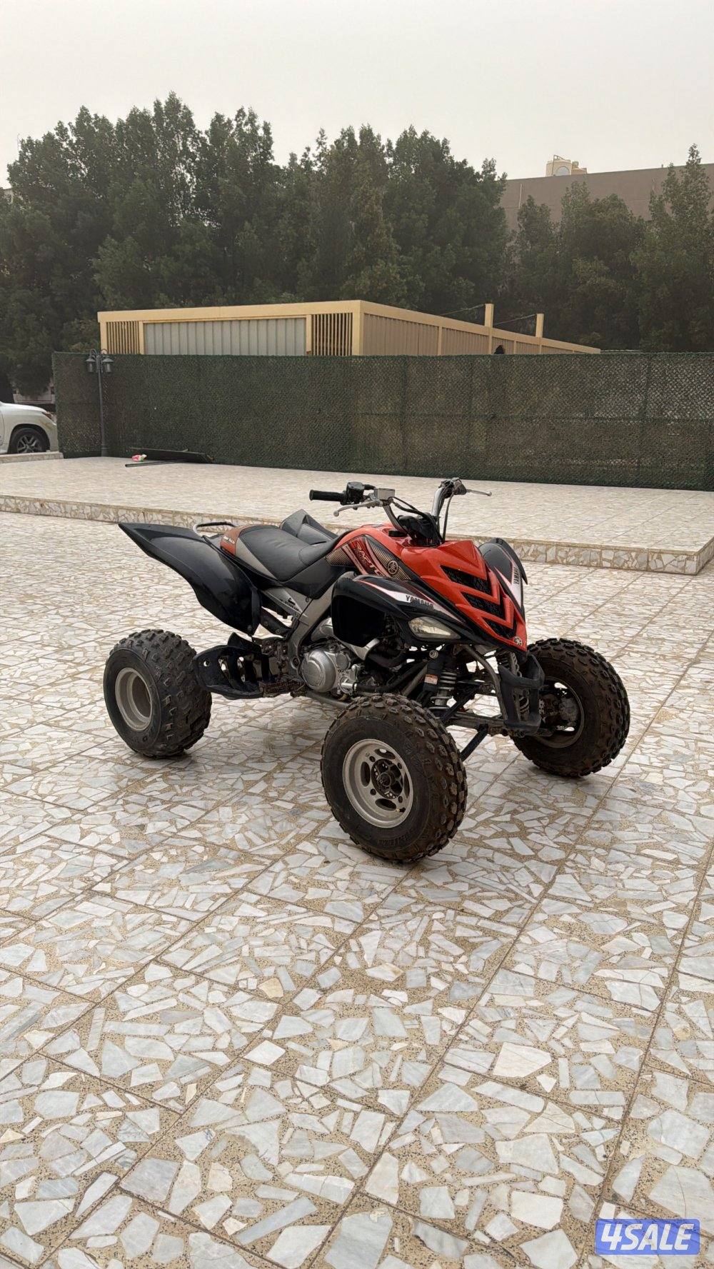 لايدق الا الصامل0