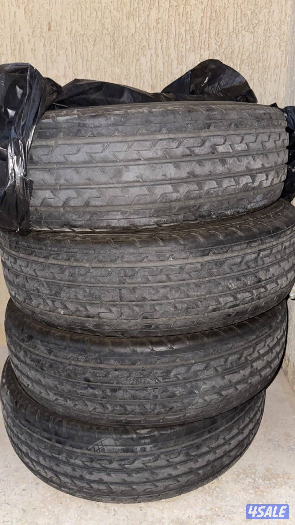 للبيع شواهين نظاف0