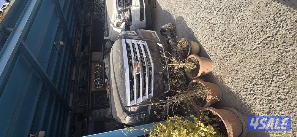 سكراب السالمي النعايم6