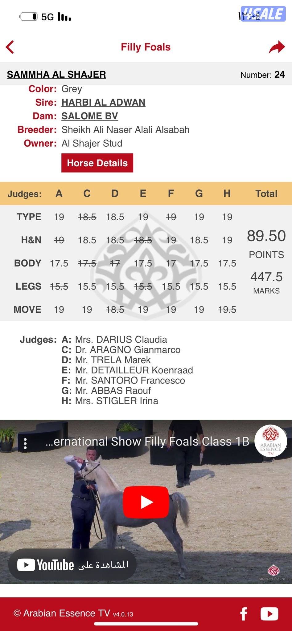 للبيع مهره شو فاخرة0