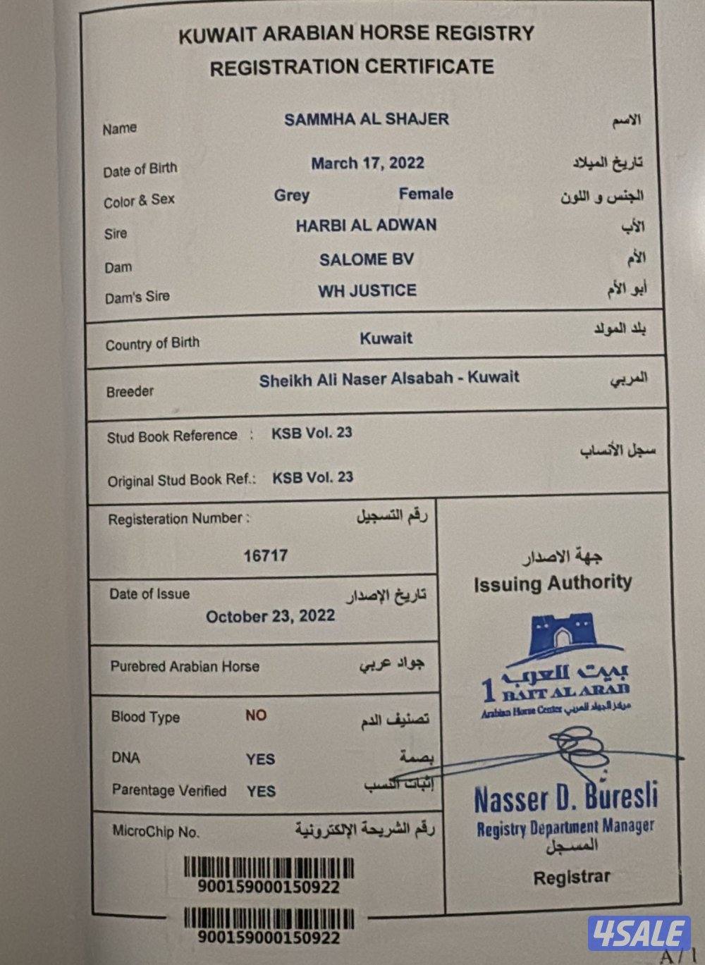 للبيع مهره شو فاخرة5