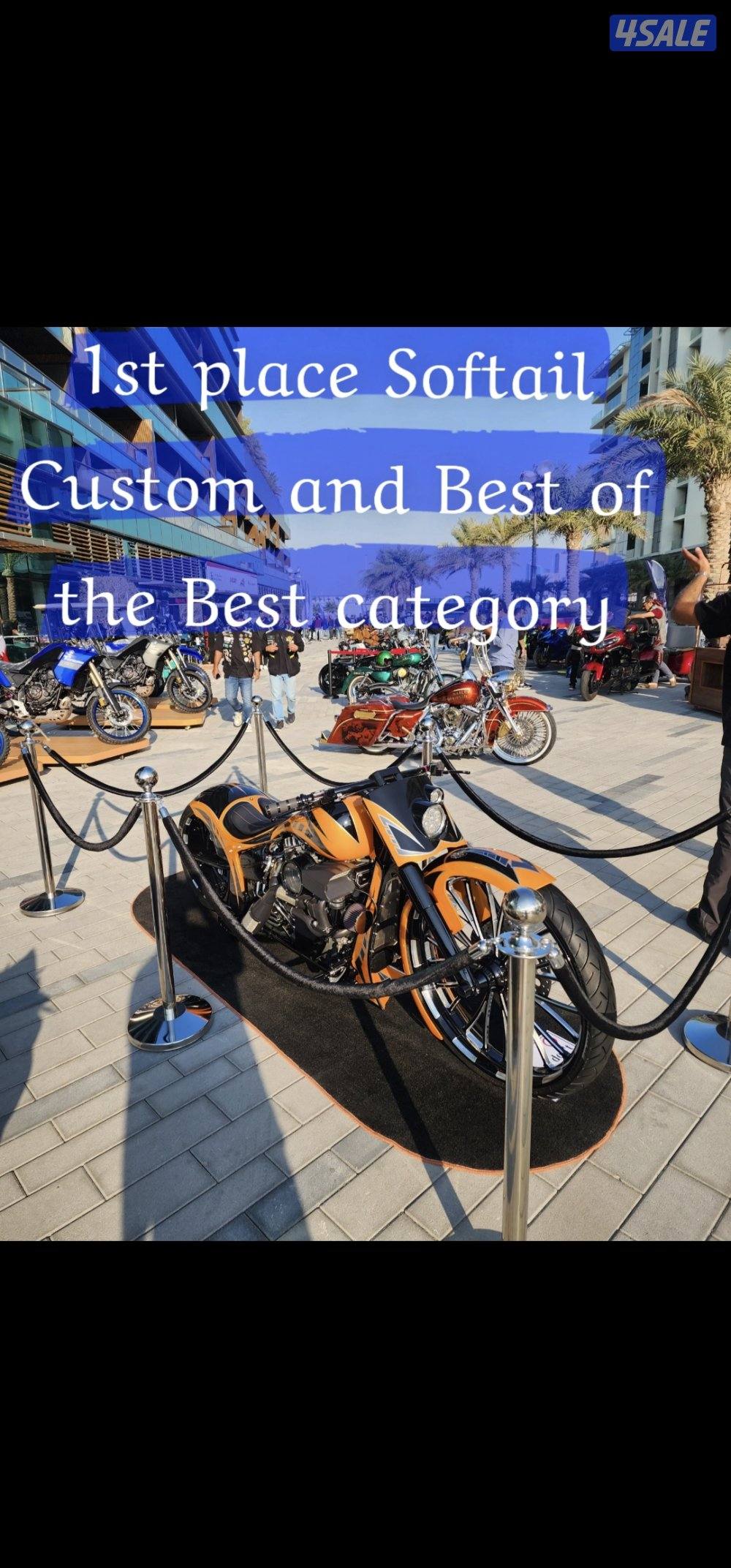 بطل الخليج على فئته0