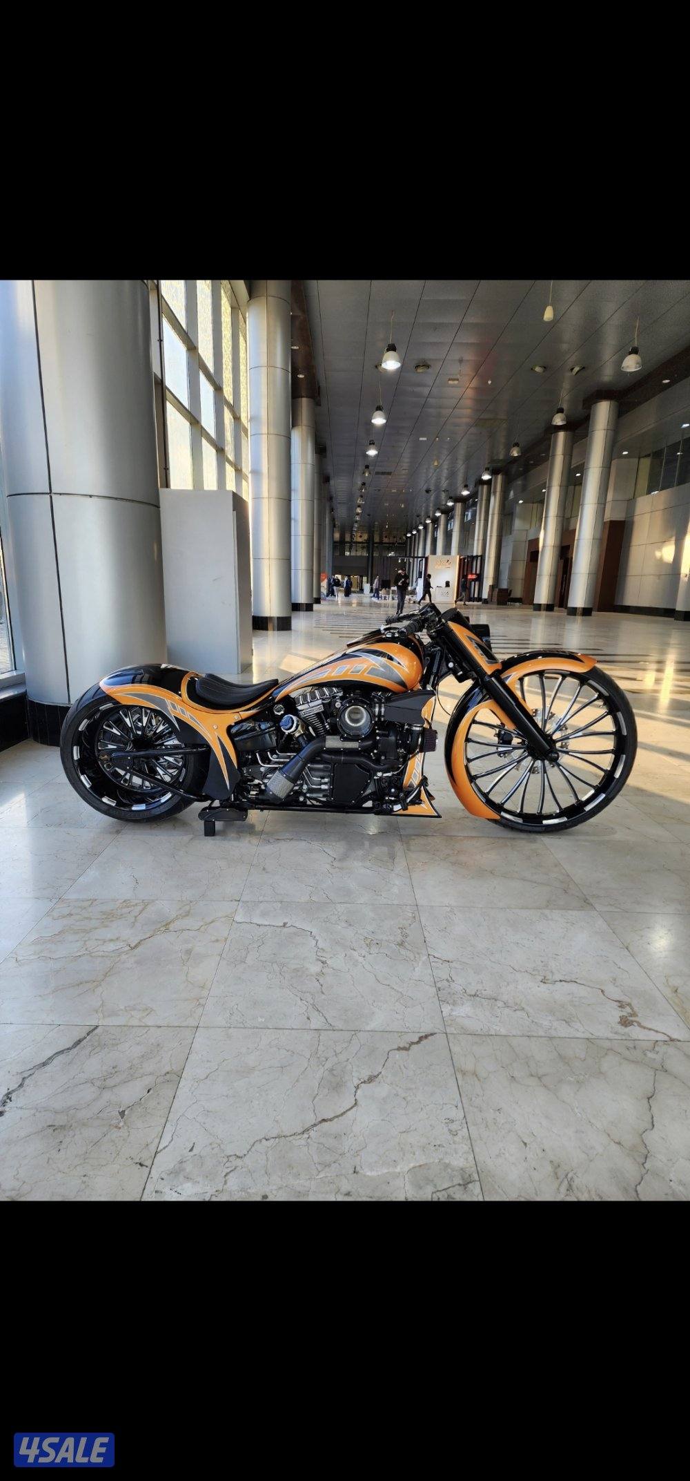 بطل الخليج على فئته5