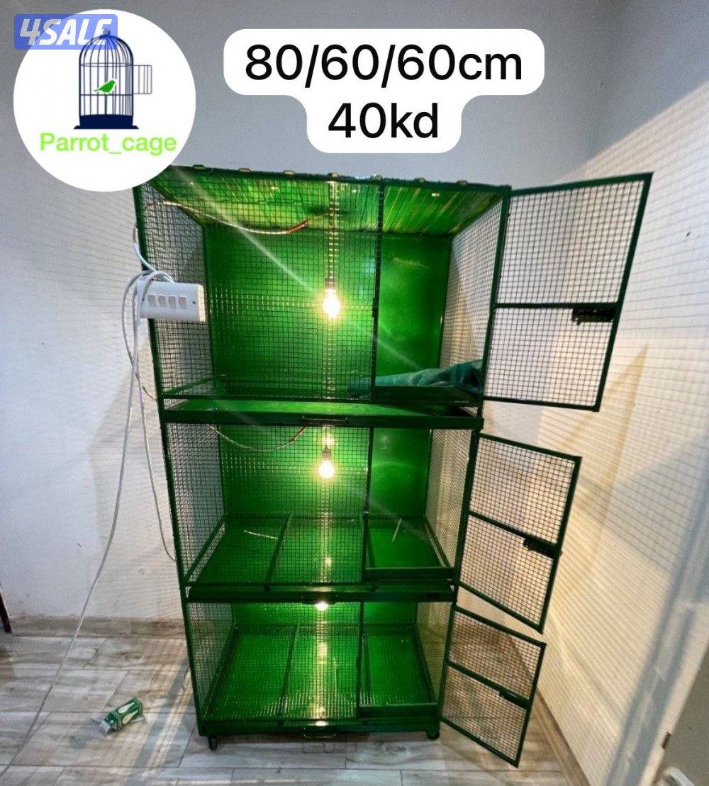 حضانة صيصان عالطلب12