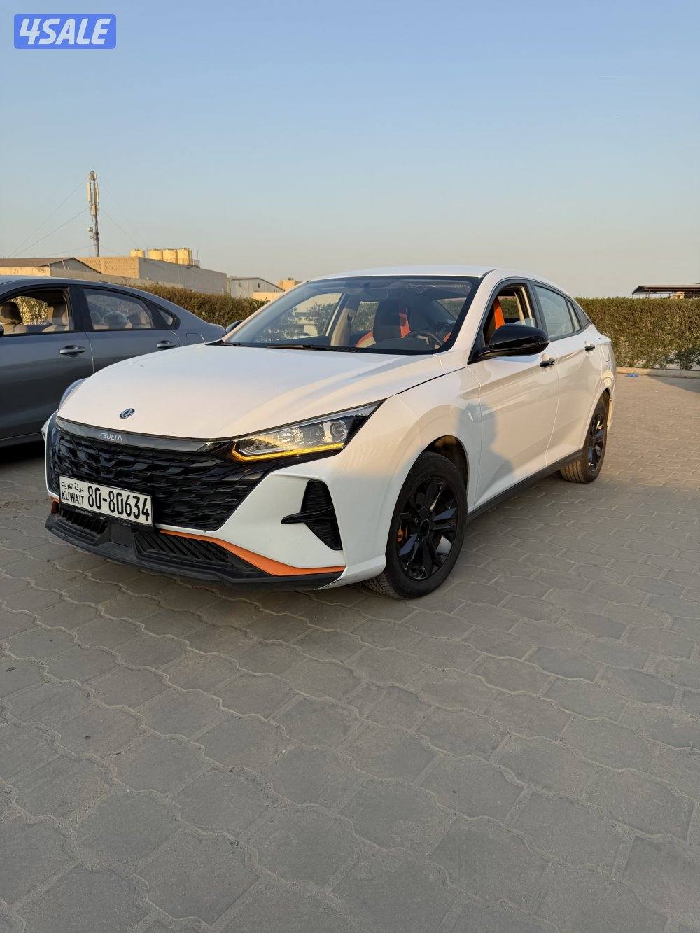 دى اف ام 2025 ممشى 17بحالة الوكالة0