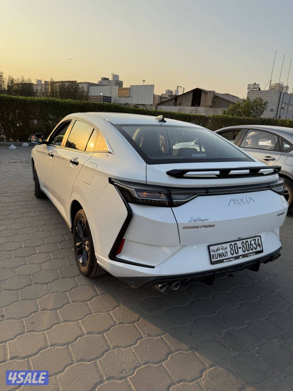 دى اف ام 2025 ممشى 17بحالة الوكالة3