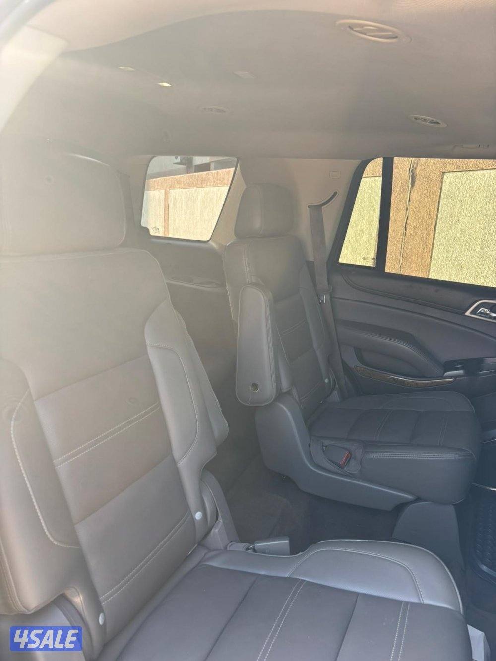 يوكن دينالي1