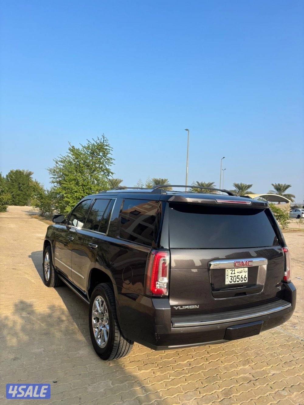 يوكن دينالي4