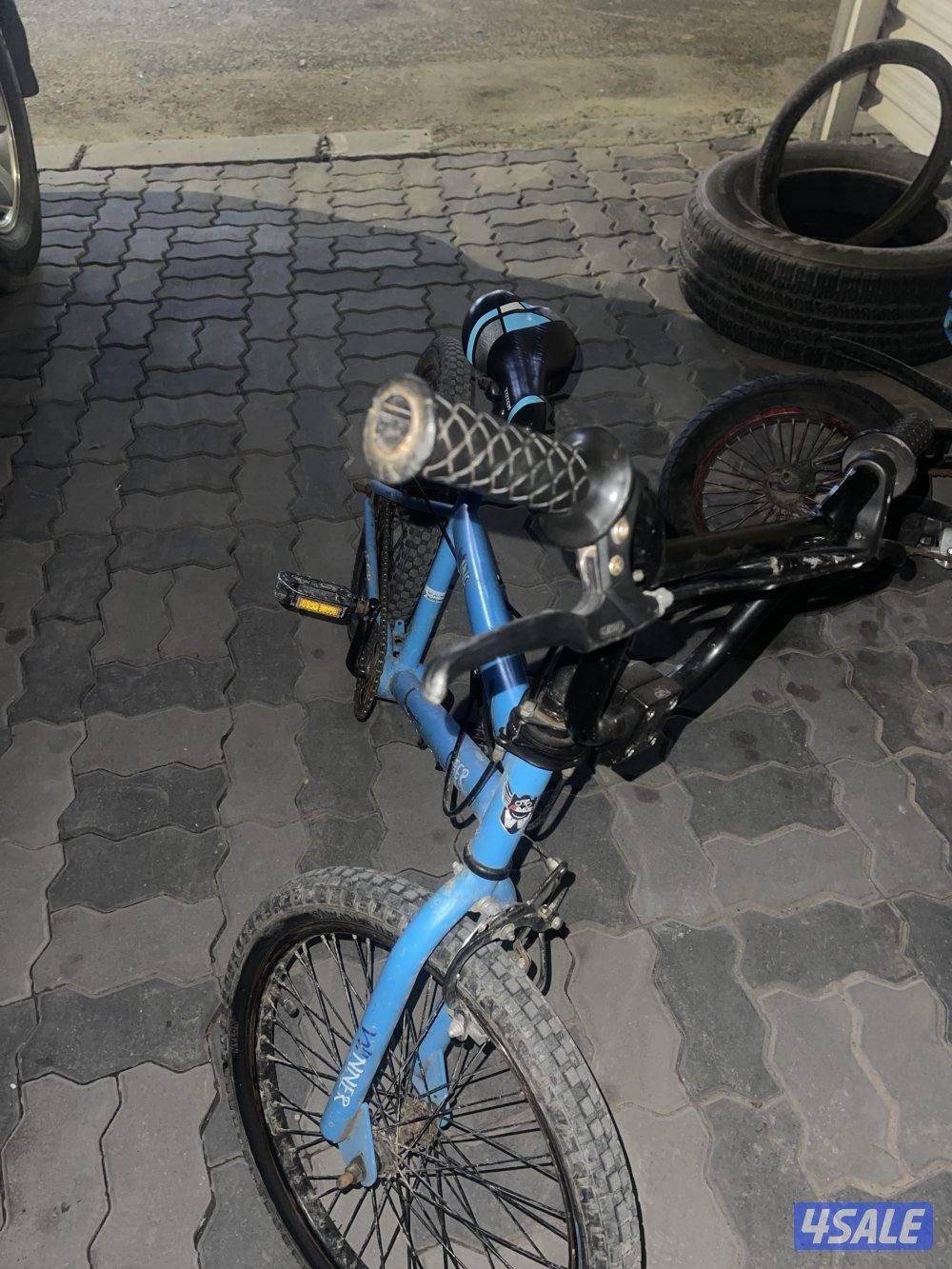 دوحه قطعه ٣1