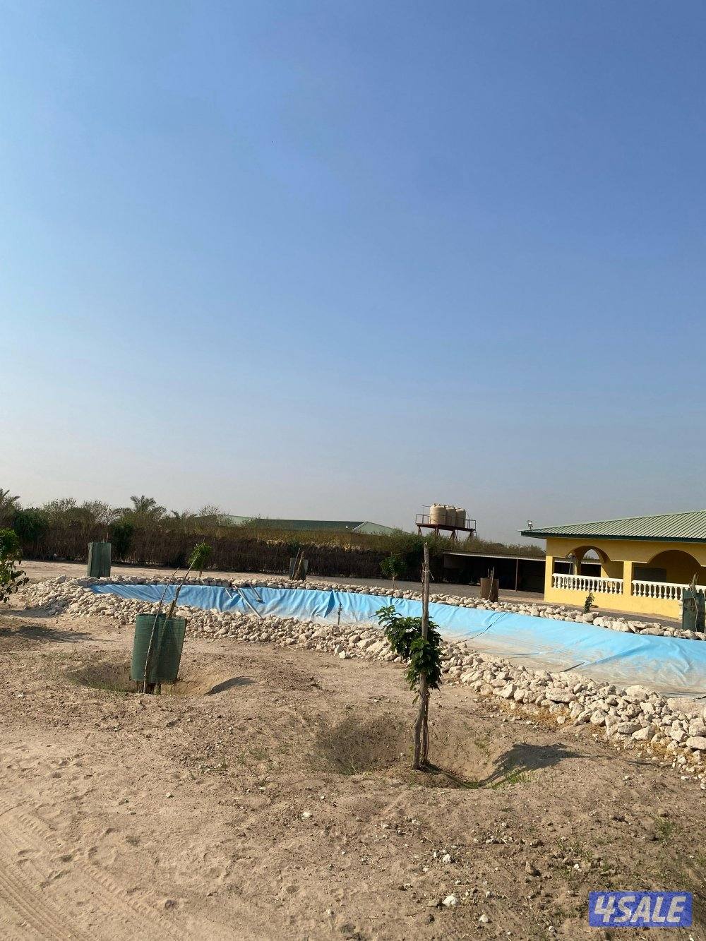 للبيع مزرعة مساحة 100 في العبدلي قطعة 5 شارع واحد فيها بيتين مع حمامين3