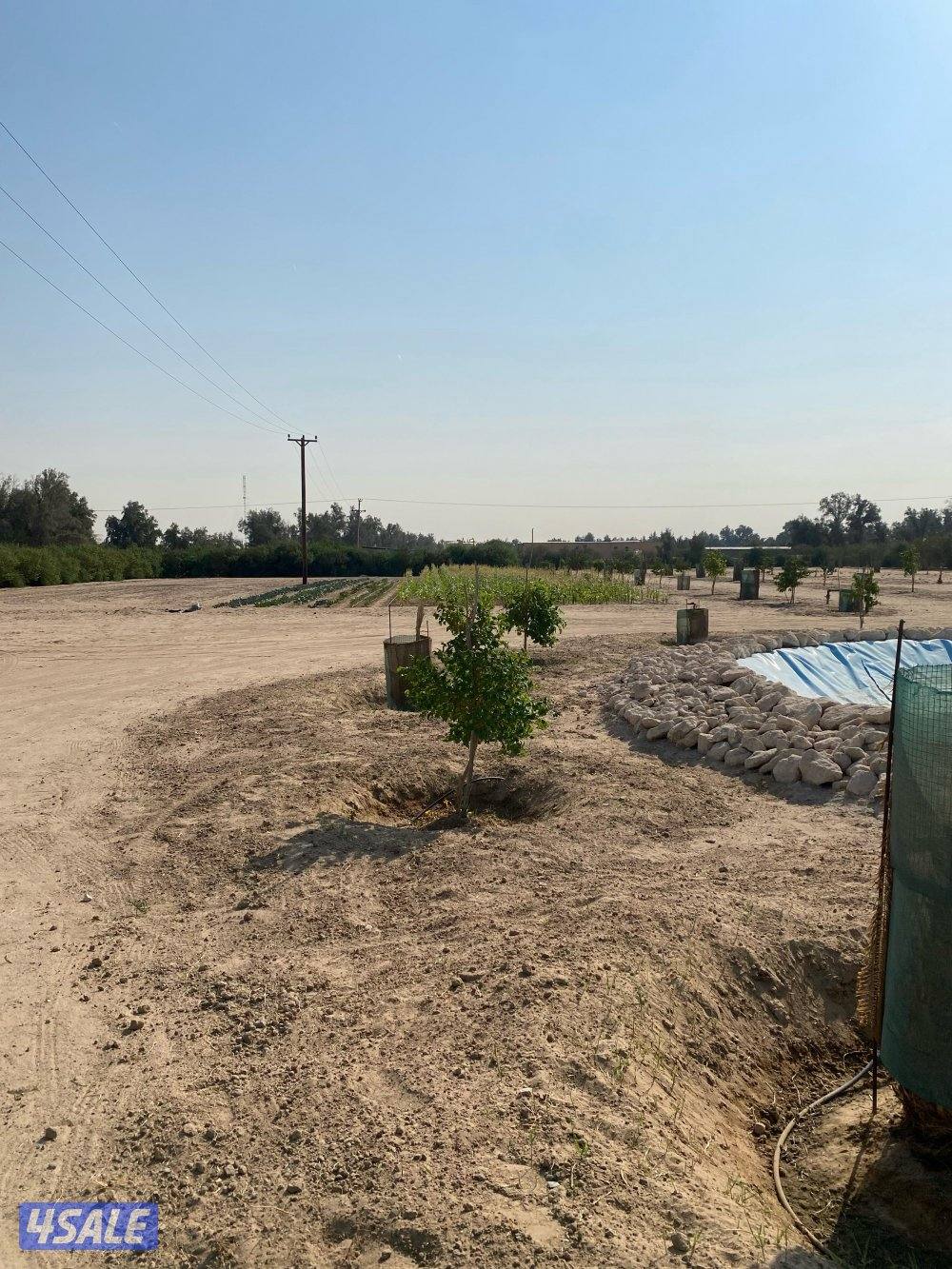 للبيع مزرعة مساحة 100 في العبدلي قطعة 5 شارع واحد فيها بيتين مع حمامين5